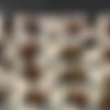 BigAssTease - Full SiteRip thumbnail