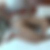 [Heydouga.com] Thai Real Amateur Sex: Nun [4156-008] (Ichiban-yari) [uncen] [2017, Japan, Amateur, Nice, Medium Tits, Cunnilingus, Doggy, Straight, Cowgirl, Cumshot, SiteRip] [1080p] thumb