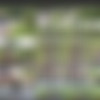Sneakypee Jul-Aug 2018 thumbnail