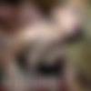 [MidwestFreaks.com] - MWF #001-099 - MegaPack [January - July 19, 2017] [720p] thumb