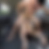 [BangBus.com / BangBros.com] Riley Jean (Teen Cheats On Her BF For Cash) [22.04.2020, Blowjob, Brunette, Swallow, Hardcore, Cumshot, Amateur, Hairy, Cowgirl, Young, Missionary, Riding, Caginal, Cum In Mouth, 720p] thumb