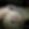 [PrivateSociety.com] Lavender (She loves it in the butt / 06.06.2023) [Amateur, Anal, Blowjob, Creampie, Doggystyle, Tattoo, Hardcore, 1080p, HDRip] thumb