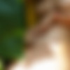[Zishy.com]  2024 -  2024 (15.03.2024) [Solo, Teens, Big Tits, Outdoor, Posing, Softcore, No Sex] [1920x1280-1440x1920, 2273 , 35 ] thumb
