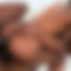 [AllBlackX.com / XEmpire.com] Chanel Skye (Chanel Skye 's 1st DP) [05.04.2020, Hardcore, Blowjob (Double), Cumshot, Petite, Blowjob, Cum Swallowing, Small Tits, Anal, Deepthroat, Threesome, Gonzo, Ass To Mouth, Double Penetration (DP), Black, Cum in mouth, Doggystyle, Ebony, Missionary, Oral, Swallow, Tattooed, 720p] thumb