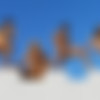 [18OnlyGirls.com] - Lesbian Hotties Attack - [Mia, Mara, Dakota and Adria] [10.07.2011] - 720p thumb