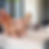 [OnlyFans.com ]Kay Lovely & Johnny Sins(New Sensual Sex Tape!!) [2023, Gonzo, Hardcore, All Sex ,POV, Straight 1080p] thumb