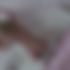 Alexandra A (aka Aleksandra, Alexandra, Angela, Angelika C, Angelina, Cassidy C, Mia Kimmy, Sheree) (21  720p/576p) (AmourAngels, Stunning18, Zemani) [2008-2023 ( - 2008-2013), Erotic, Glamour, Solo; Oral, Vaginal & Anal - only Observing, SiteRip] thumbnail
