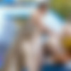[TeamSkeetSelects.com / TeamSkeet.com] Serene Siren, Izzy Lush, Kiara Cole - Best Of Public Sex Compilation [11.03.2020, Compilation, All Sex, Blowjob, 1080p] thumb