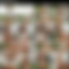 [NetGirl.com / NVG Network]Addis ( Omg The Latest NG)[2022, Gonzo, Hardcore, All Sex 576p] thumb