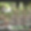 Sneakypee Jul-Aug 2019 thumbnail