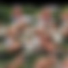 21EroticAnal. 2022 .2160p megapack thumb