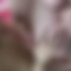 preggotegan.com thumb