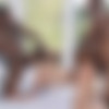 [Blacked.com] Ella Reese (Impulsiveness 2) [20.01.2020, Brunette, Blowjob, Deep Throat, Big Tits, Riding, Spit Roast, Doggystyle, Missionary, Creampie, Facial, 720p] thumb