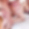 [ExxxtraSmall.com / TeamSkeet.com] Natalie Brooks - Freaky Cum Facial Phenomenon [2020.04.02, All Sex, Blowjob, Brunette, Facial, 1080p] thumb