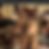 AfricanCasting.com Siterip (as of 2023-09-07) (part 1 of 2) thumbnail