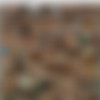 Fiona Cooper 101-200 Missing Files thumbnail