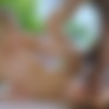 [Blacked.com] Addie Andrews (I'm Alone) [24.02.2020, Blonde, Small Tits, Bush, Doggystyle, Riding, Reverse Cowgirl, Creampie, Masturbation, Blowjob, Prone Bone, Missionary, Spooning, 1080p] thumb