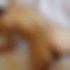 [FC2PPV.net / FC2.com] Ayako 29 years old A large amount of vaginal cum shot to a beautiful slender beautiful wife with outstanding style [FC2-PPV-3313803][uncen] [2023 ., All Sex, Blowjob, Creampie, 1080p] thumb