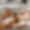 [WowGirls.com] Nancy A & Ashby Winter - Arousing Play [2024, Girl/Girl, Lesbian, Blonde, Lingerie, Masturbation, Pussy Licking, Shaved Pussy, 60FPS, 2160p, SiteRip] thumb