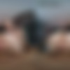 [RealJamVR.com] Raven Lane, Skye Mae - Three Way Hot Kissing 2 [2024-01-19, Blowjob, Close Up, Doggystyle, Lesbian, POV, Straight, Threesome (FFM), SideBySide, 3584p, SiteRip] [Oculus Rift / Vive] thumb