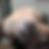 [BrothaLovers.com / InterracialSexx.com] Kyler Quinn (Kyler Quinn & Lowtru-1) [2020-09-25, Teen, All Sex, Blowjob, BBC, Creampie, Interracial, 720p] thumb