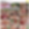 [Angels.Love] 2023-10-14 evelin.elle,molly.devon - lucky.star [60fps][3132p] thumb