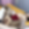 Rou Rou - Climbing into the son-in-law’s bed. (Madou Media) [QT-0003] [uncen] [2024 ., All Sex, Blowjob, 1080p] thumb