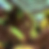 SODstar 10 - Sex After Party 2019 - Getting Their Fuck On In The Club [STARS-160] (SOD star, SOD Create) [uncen] [2019 ., Slut, Orgy, Nymphomaniac, Harem, Hi-Def, BDRip] [2160p] (Mana Sakura, Iori Kogawa, Masami Ichikawa, Makoto Toda, Yuna Ogura, Suzu Honjo, Mahiro Tada, iTina Nanami, Hinata Koizumi, Chiharu Minagawa) thumbnail