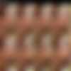 Scatbook.com - Alicetop thumbnail