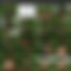 [3rd-art.com] 99 Videos - 3darlings - Huge 3D Boobs thumbnail