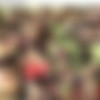 [Barbcummings] - Barb Cummings - Taboo Interracial Sex - [480p][MP4] thumb
