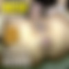 [MidwestFreaks.com] - MWF #781-835 - MegaPack [December 28, 2023 - June 29, 2024] thumb