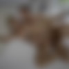 [Only3XLost.com] Missy Luv (Sexy, slim blonde Missy Luv hardcore fucking with Erik Everhard) [17.04.2020, All Sex, Cum Shot, Cum In Mouth, Facial, Blowjob, Deep Throat, Blonde, Pussy Licking, Doggystyle, Missionary, Cowgirl, Hardcore, Small Tits, Natural Tits, 1080p] thumb