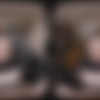 [VRConk.com] Hazel Moore - The Hunger Games: Katniss Everdeen (VR Porn Parody) [09.02.2024, Big Natural Tits, Blowjob, Boots, Braided Ponytail, Brunette, Closeup Missionary, Cosplay, Cowgirl, Cross Legged Missionary, Cum On Stomach, Cum On Tits, Doggy Style, Hairy Pussy, Handjob, Missionary, Movie, Natural Tits, Outdoor, Parody, Partially Clothed, Pov, Redhead, Reverse Cowgirl, Ripped Pants, Virtual Reality, SideBySide, 4K, 1920p, SiteRip] [Oculus Rift / Quest / Vive] thumb