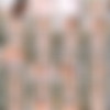 Scoreland.com - Tiggle Bitties - The Fantasy Bride thumb