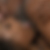 [WhenGirlsPlay.com / Twistys.com] Demi Sutra, Hazel Grace (Planting A Kiss) [31.07.2021, Face Sitting, Pussy Fingering, Pussy Licking, Ebony, Kissing, Lesbian, 1080p] thumb