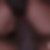[American-Pornstar.com] Nikki Darling - Nikki Darling Gets Double Dicked (25.12.2016) [2016 ., DP, DPP, IR, Big Black Cock, Anal, Brunette, Ebony, Big Ass, Blowjob, Deep Throat, Gonzo, Hardcore, Creampie, 480p] thumb