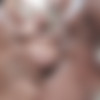 [LegalPorno.com / AnalVids.com / YE] Larissa Leite - Larissa Leite assfucked by 4 huge cocks with DAP and 0% Pussy fucking [07-11-2021, Anal, Anal Creampie, Big Tits, Blonde, Curvy Body, Double Anal (DAP), Gapes, Interracial, Latina, Natural Tits, 1080p] thumb