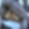 [sirberusssanctum.com] Roc Bundy's Fuck The World Tour Volume 6 Starring Eva Jayne thumbnail