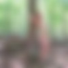 [Abbywinters.com] Judith - Bathing In Nature [2023-01-31, Solo, 1080p] thumb