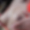 [InTheCrack.com] #1619 Adrian Hush [2020 ., Solo, Close ups, Masturbation, Toys, Indoor, 1080p] thumb