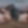 [RealJamVR.com] Skye Mae, Raven Lane - Three Way Hot Kissing 2 [19.01.2024, Anal, Black Male POV, Black Male White Female, Blow Job, Brunette, Close Ups, Cowgirl, Cum In Mouth, Doggy Style, Face Pierced, FFM, Hardcore, Interracial, Missionary, Polish, POV Kissing, Redheads, Reverse Cowgirl, Tattoo, Threesome, Virtual Reality, SideBySide, 7K, 3584p, SiteRip] [Oculus Rift / Quest 2 / Vive] thumb