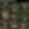 [ALSScan.com] Liz Jordan - Sweet Nectar BTS [2021-03-15, Solo, Masturbation, Finger Spreading, Brunette, Small Tits, Photoshoot, Outdoor, Object Insertion, Pigtails, Jumping Jacks, Distortion, Shorts, Teen, 4k, 2160p, SiteRip] thumb