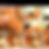 [Glimpse-It.com] Pack Lesbian piss Drinking (MPEG1/MPEG) - 546 videos thumbnail