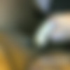 [manyvids][thelonestarangel.com] Interracial rough anal girl-girl thumb