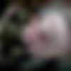 [PrivateSociety.com] He met her at the Trump rally [2020-02-03, hardcore, chubby, natural tits, blowjob, creampie, fat, 720p] thumb