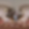 [XSinsVR.com / SinsVR] Daniela Ortiz - Curvy [2023-09-06, Babe, Big Tits, Blowjob, Brunette, Cowgirl, Cum in Mouth, Cumshots, Doggy Style, Fingering, Masturbation, Missionary, Natural Tits, Petite, POV, Reverse Cowgirl, Sitting, Standing, Tease, VR Sex, 7K, SideBySide, 3584p, SiteRip] [Oculus Rift / Vive] thumb