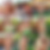 [Katya-Clover.com] - 2021-05-03 - Katya Clover & Natalie - Secret Spot - IMAGESET thumb