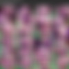 [AltErotic.com] Partial Siterip (85 Videos) [1080p, 2160p] [Update] thumb