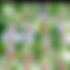 (PlayboyPlus.com) Katya-Clover - Pure Perfection - 20.04.2016 - 1080p MP4 thumb